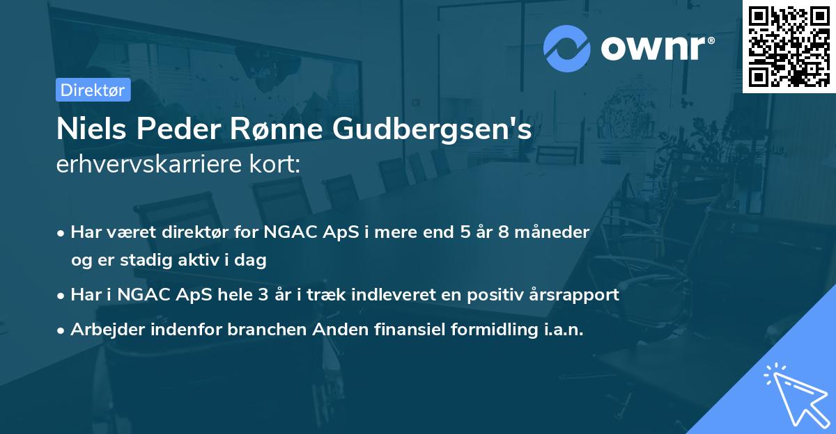Niels Peder Rønne Gudbergsen's erhvervskarriere kort