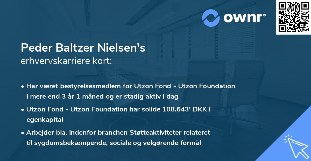 Peder Baltzer Nielsen's erhvervskarriere kort