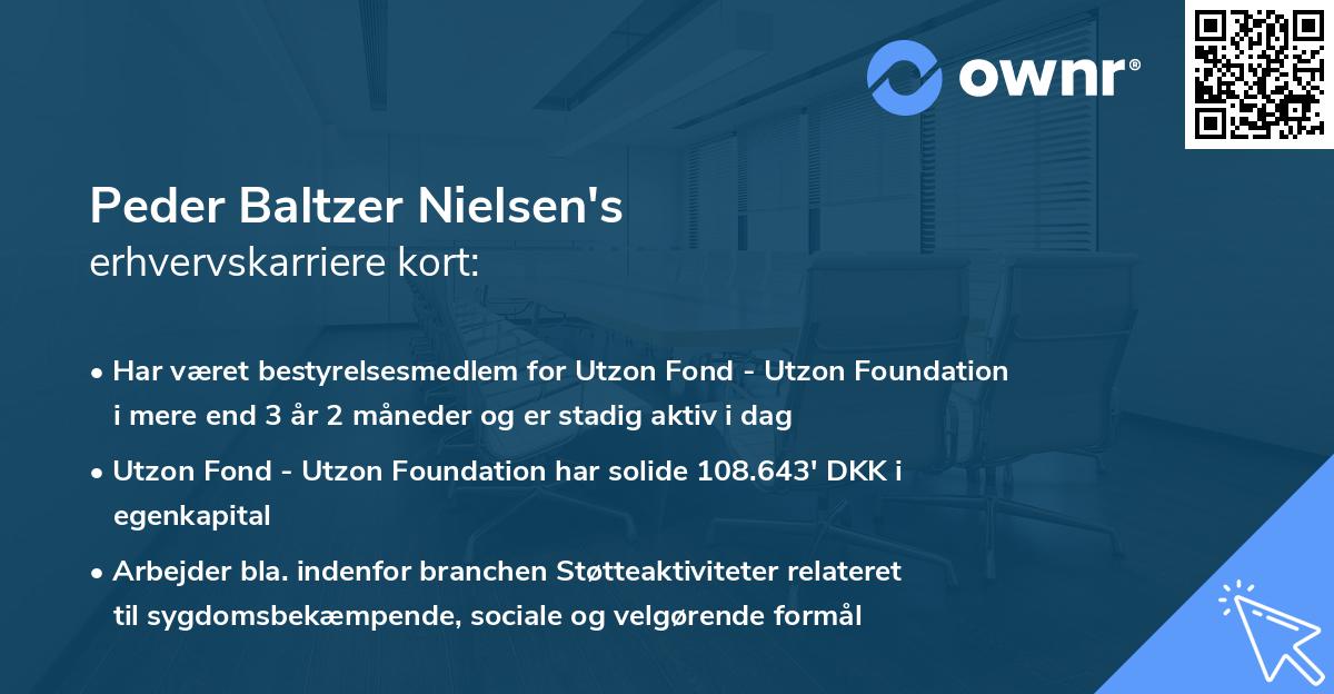 Peder Baltzer Nielsen's erhvervskarriere kort