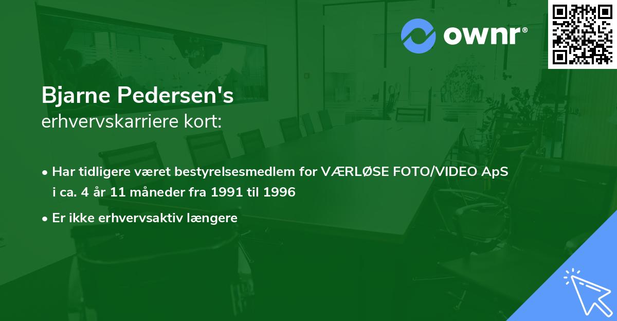 Bjarne Pedersen's erhvervskarriere kort