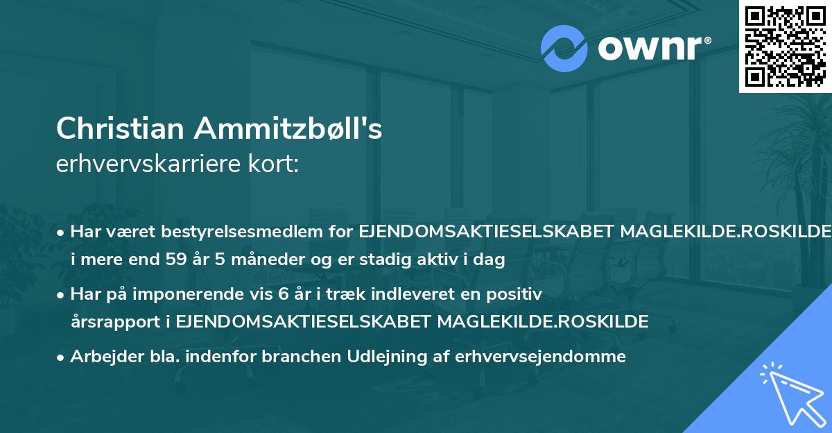 Christian Ammitzbøll's erhvervskarriere kort