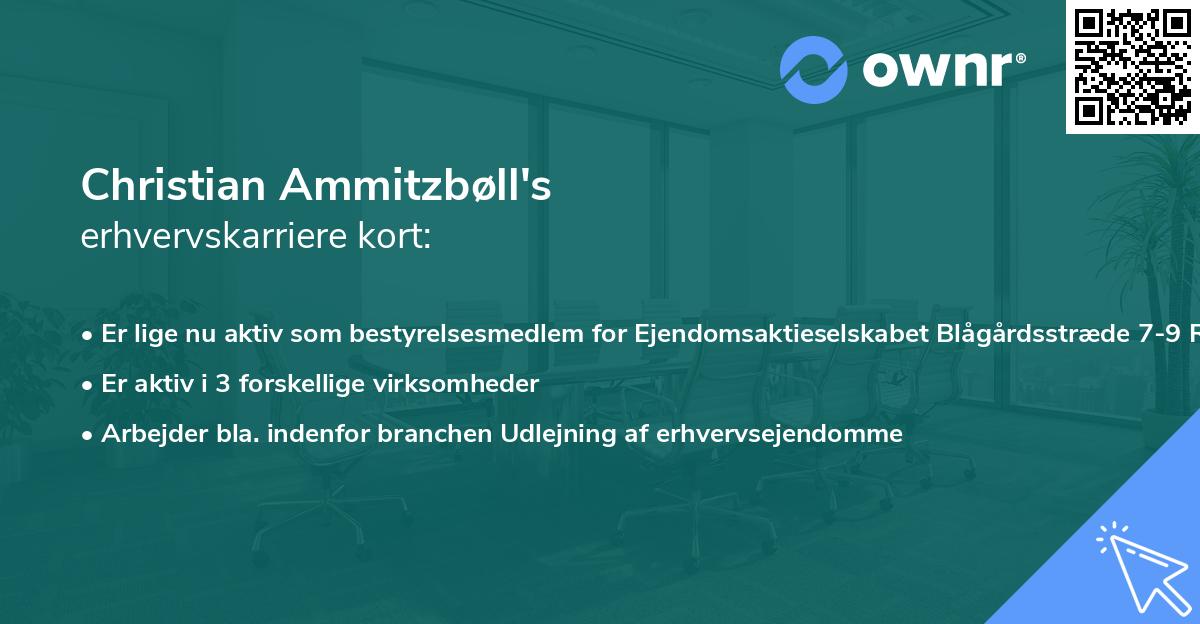 Christian Ammitzbøll's erhvervskarriere kort