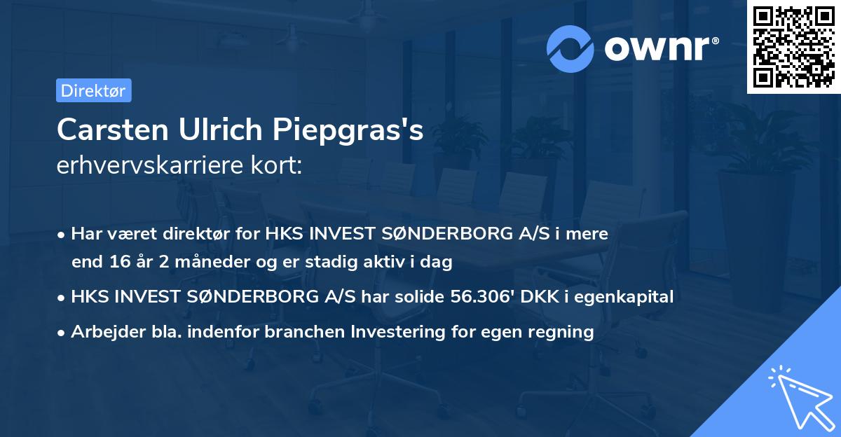 Carsten Ulrich Piepgras's erhvervskarriere kort