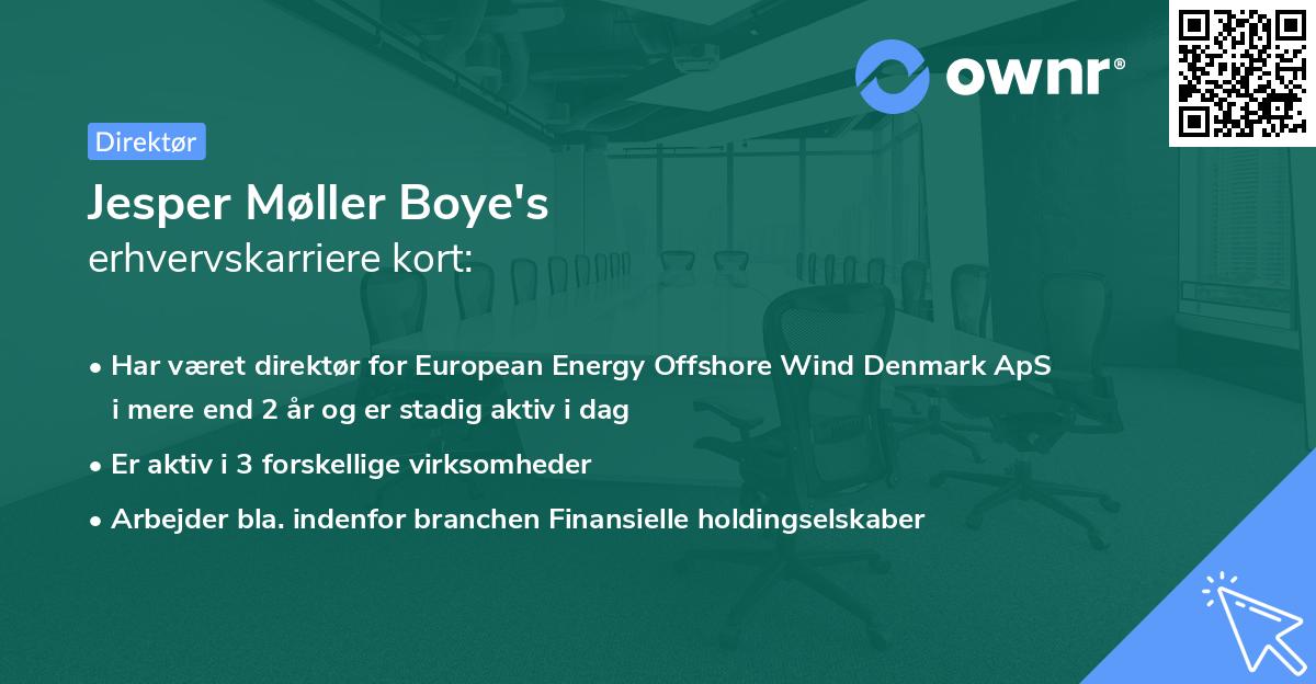 Jesper Møller Boye's erhvervskarriere kort