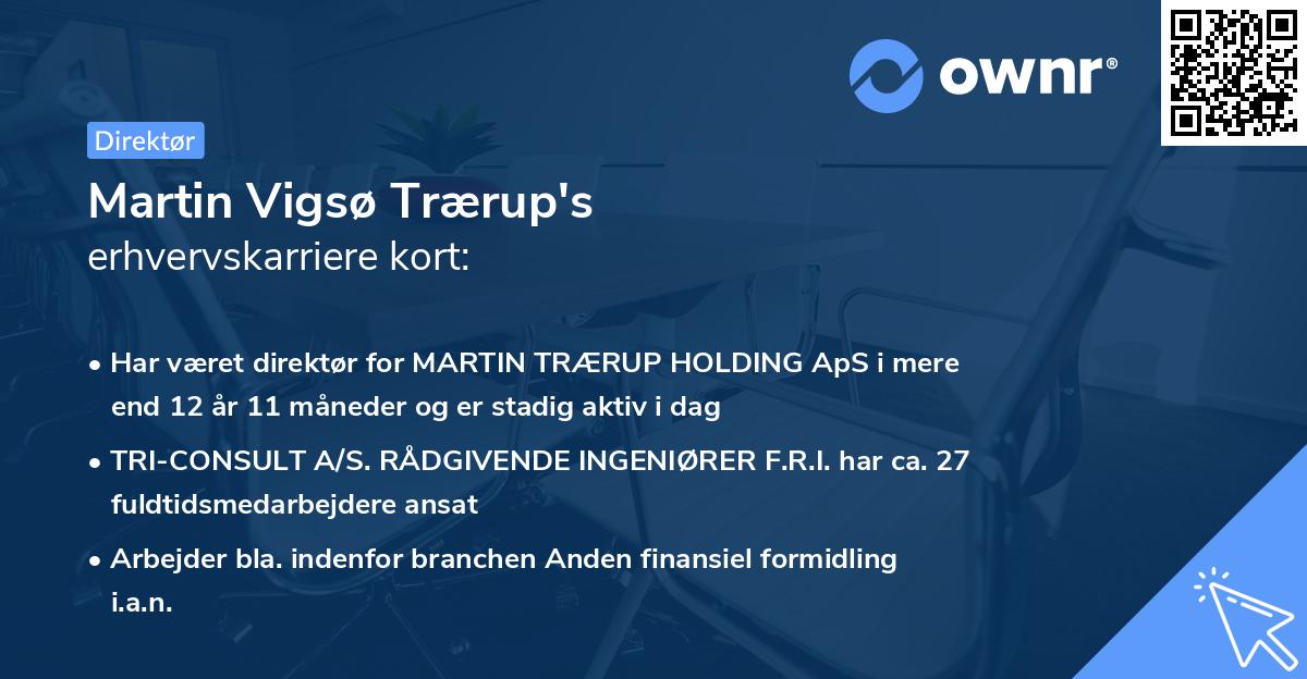 Martin Vigsø Trærup's erhvervskarriere kort
