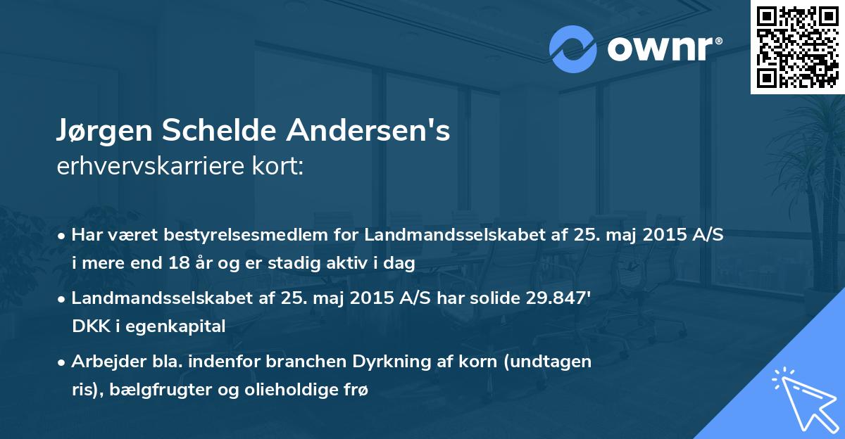Jørgen Schelde Andersen's erhvervskarriere kort