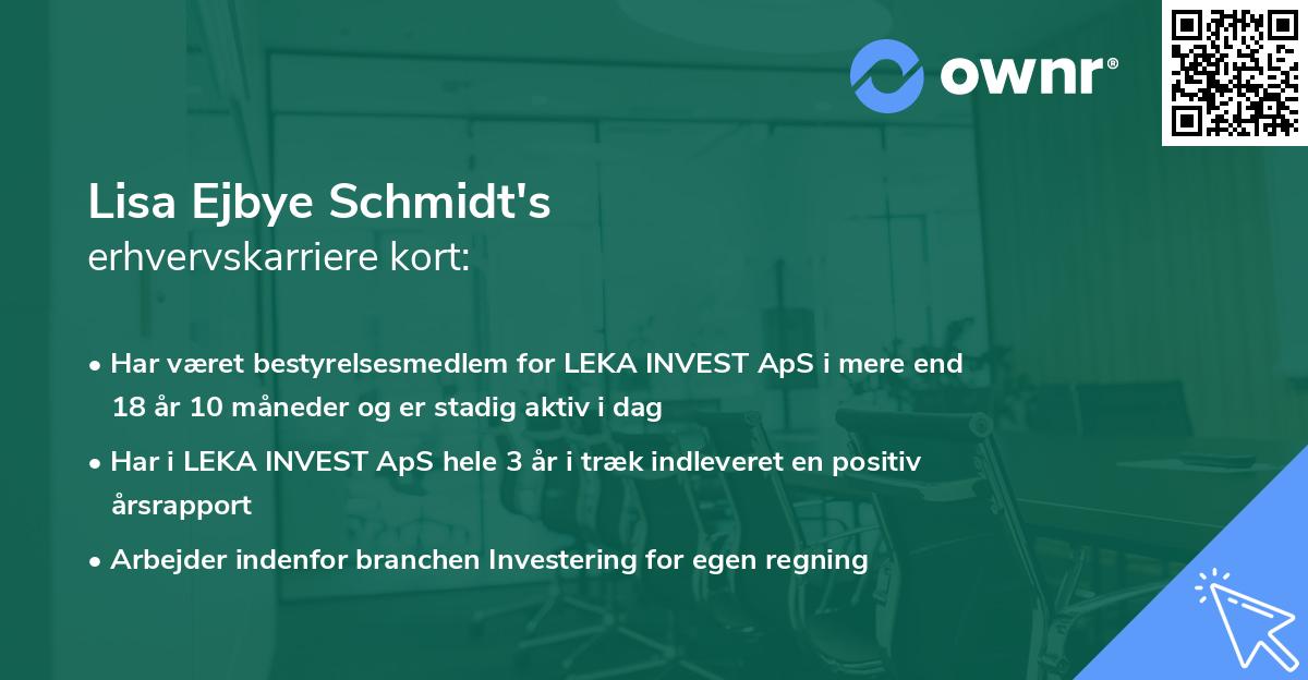 Lisa Ejbye Schmidt's erhvervskarriere kort