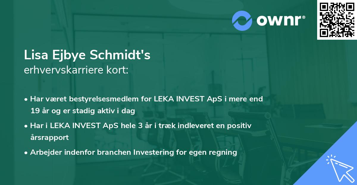 Lisa Ejbye Schmidt's erhvervskarriere kort