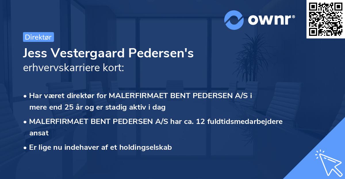 Jess Vestergaard Pedersen's erhvervskarriere kort