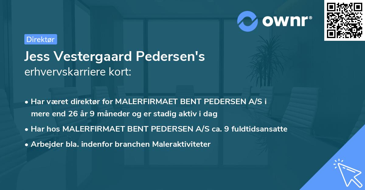 Jess Vestergaard Pedersen's erhvervskarriere kort