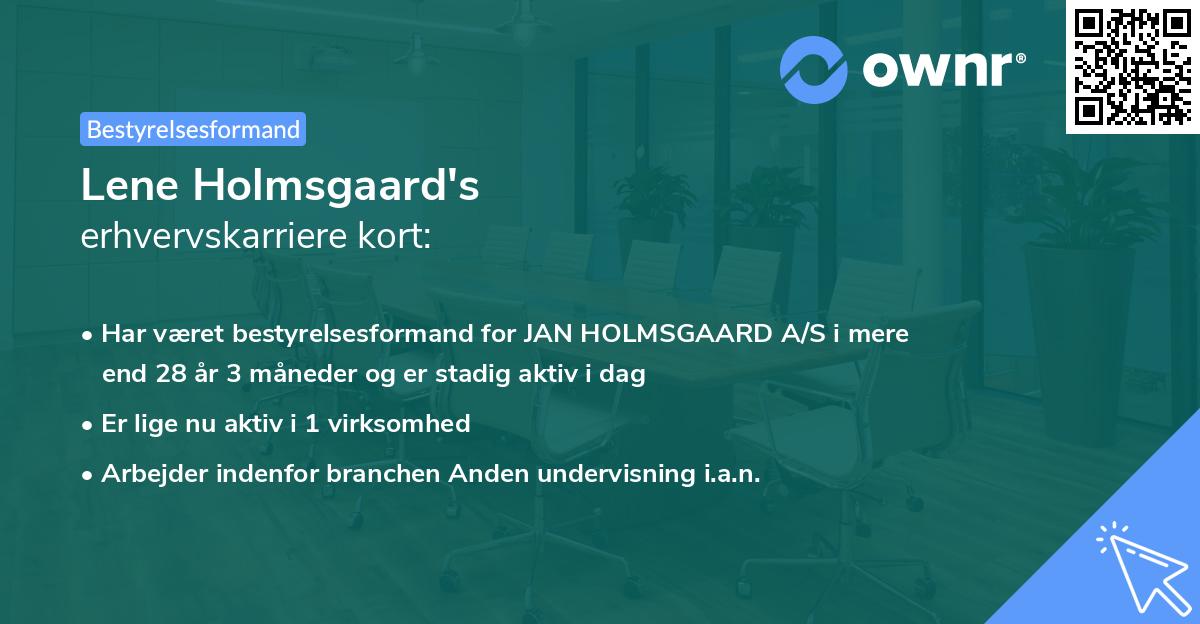 Lene Holmsgaard's erhvervskarriere kort