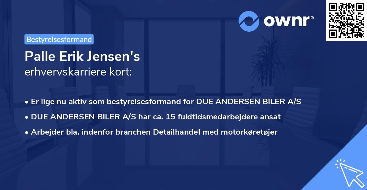 Palle Erik Jensen's erhvervskarriere kort
