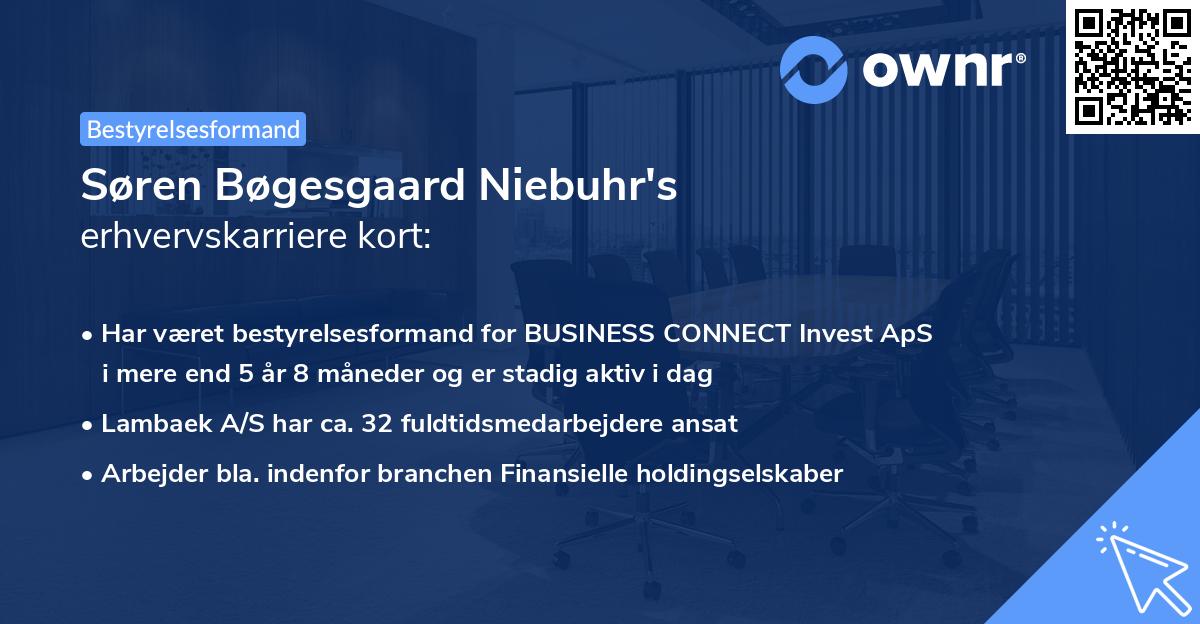 Søren Bøgesgaard Niebuhr's erhvervskarriere kort