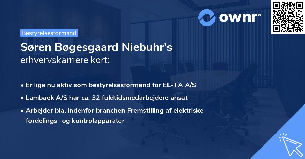 Søren Bøgesgaard Niebuhr's erhvervskarriere kort
