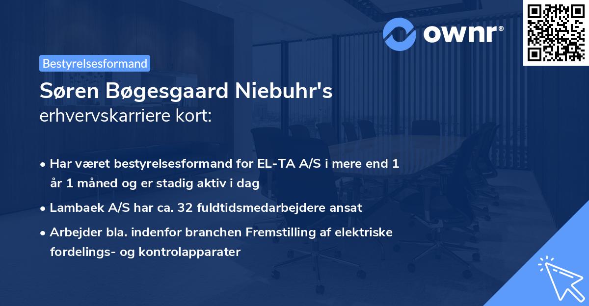 Søren Bøgesgaard Niebuhr's erhvervskarriere kort