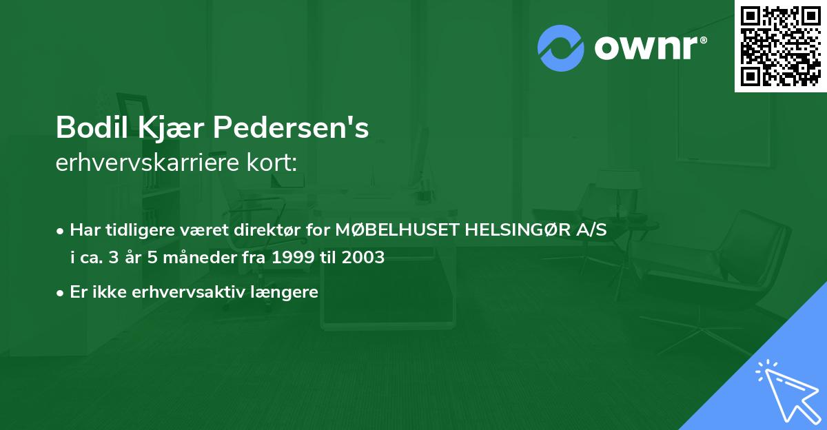 Bodil Kjær Pedersen's erhvervskarriere kort