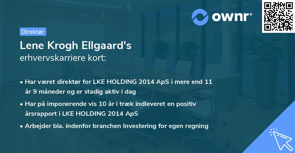 Lene Krogh Ellgaard's erhvervskarriere kort