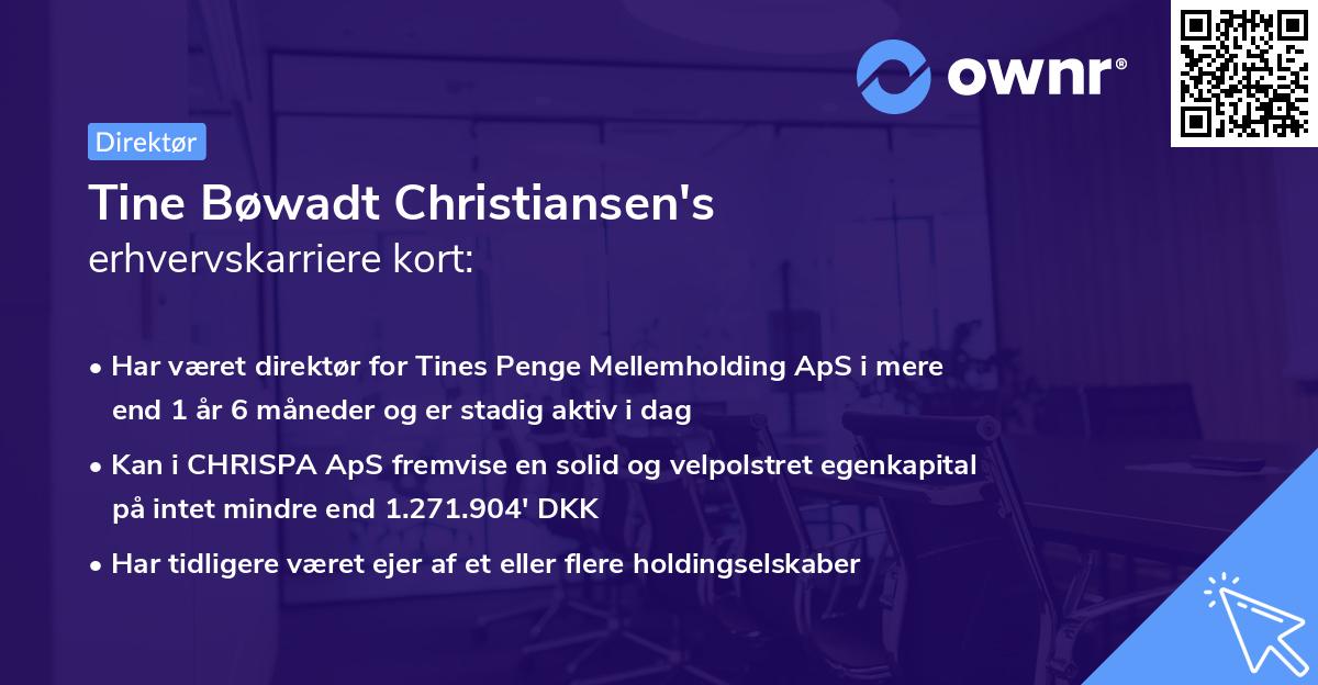 Tine Bøwadt Christiansen's erhvervskarriere kort