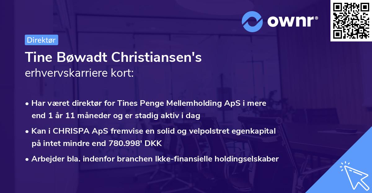 Tine Bøwadt Christiansen's erhvervskarriere kort