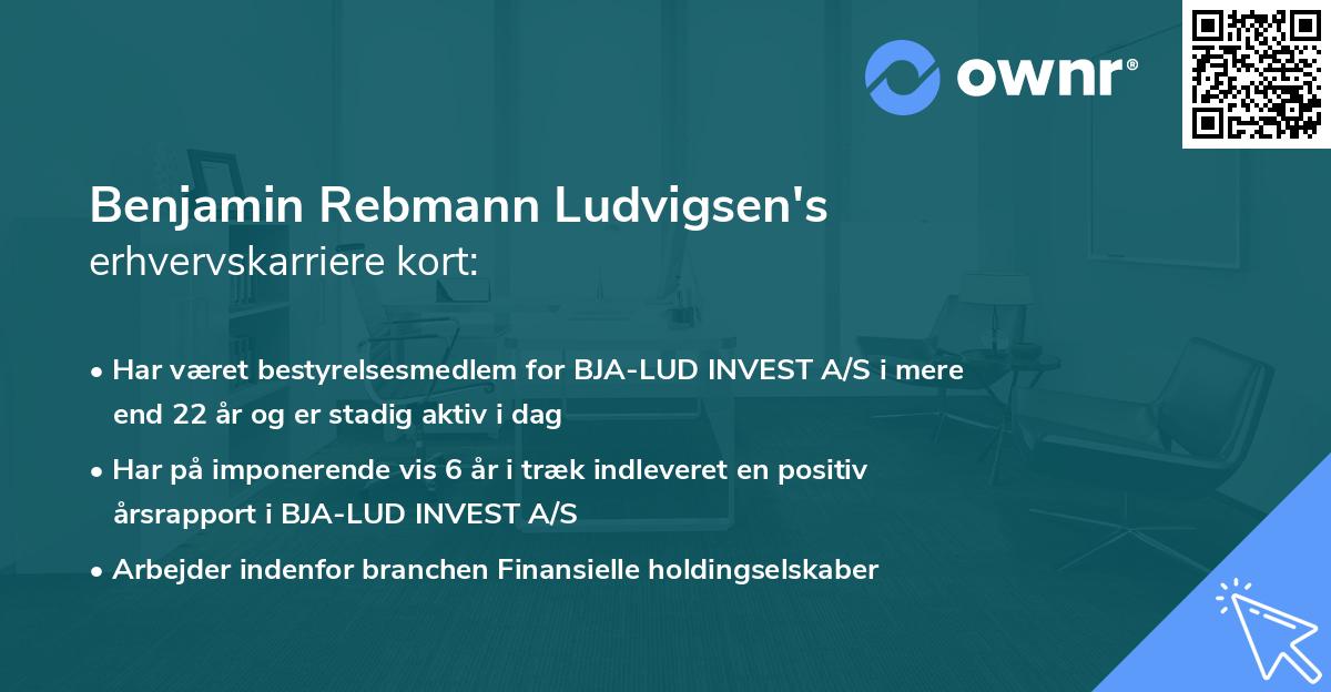 Benjamin Rebmann Ludvigsen's erhvervskarriere kort