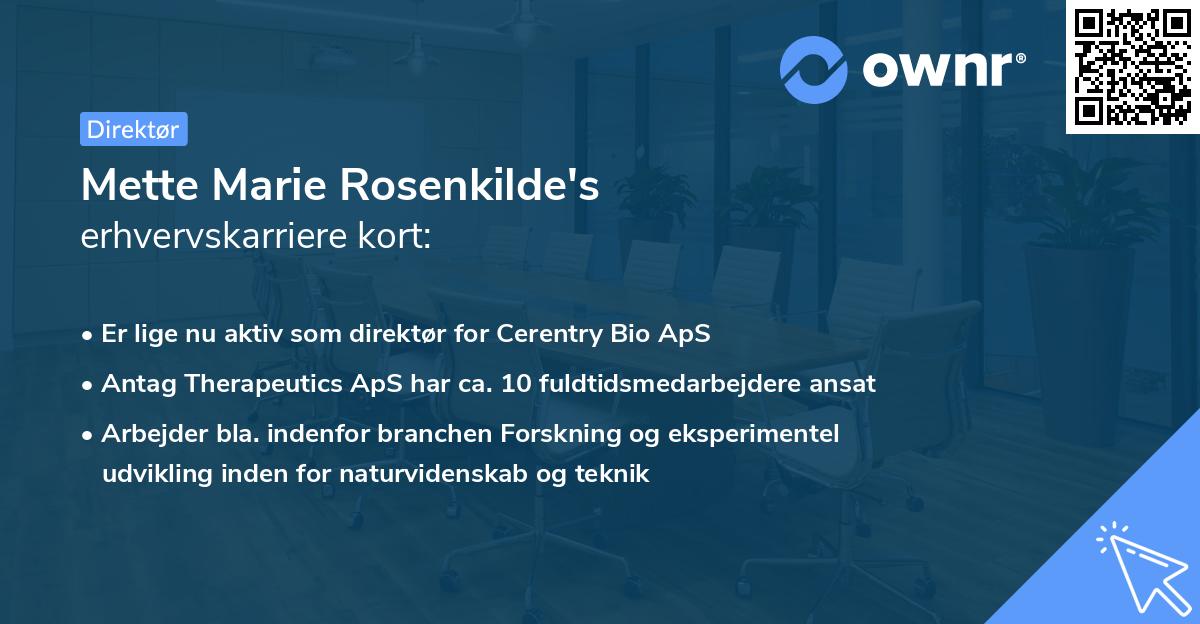 Mette Marie Rosenkilde's erhvervskarriere kort