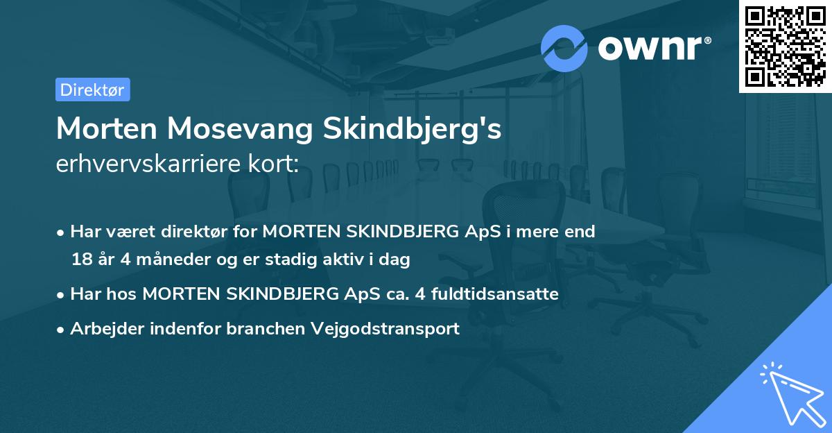 Morten Mosevang Skindbjerg's erhvervskarriere kort