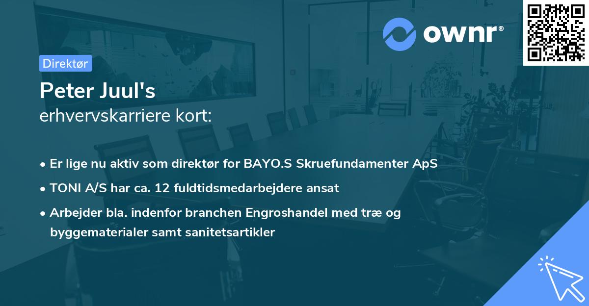 Peter Juul's erhvervskarriere kort