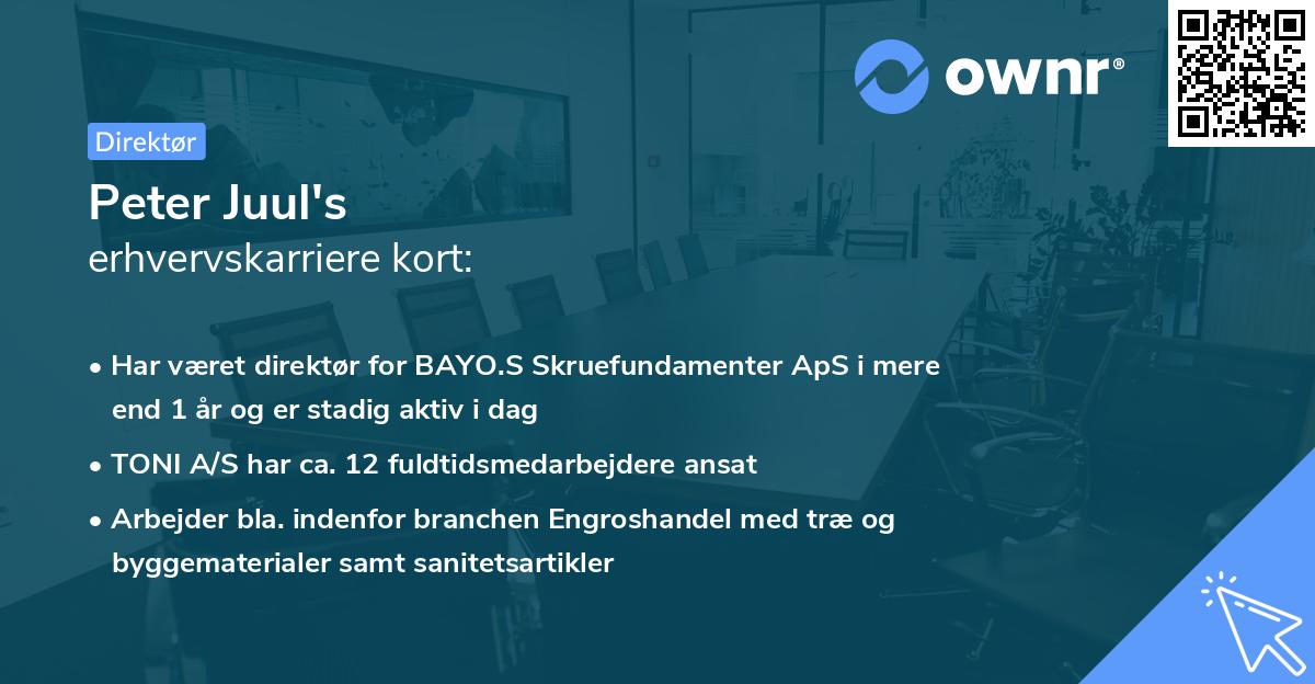Peter Juul's erhvervskarriere kort