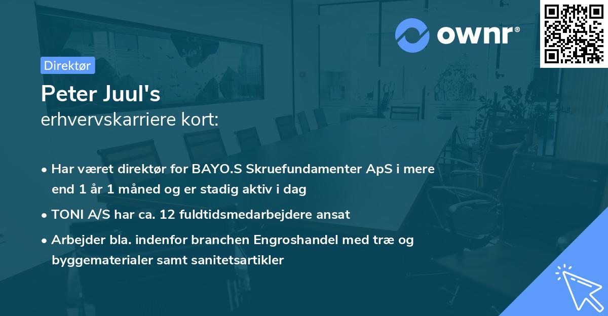 Peter Juul's erhvervskarriere kort