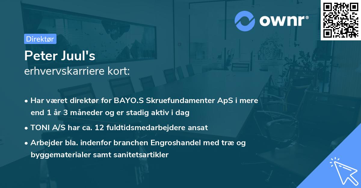 Peter Juul's erhvervskarriere kort