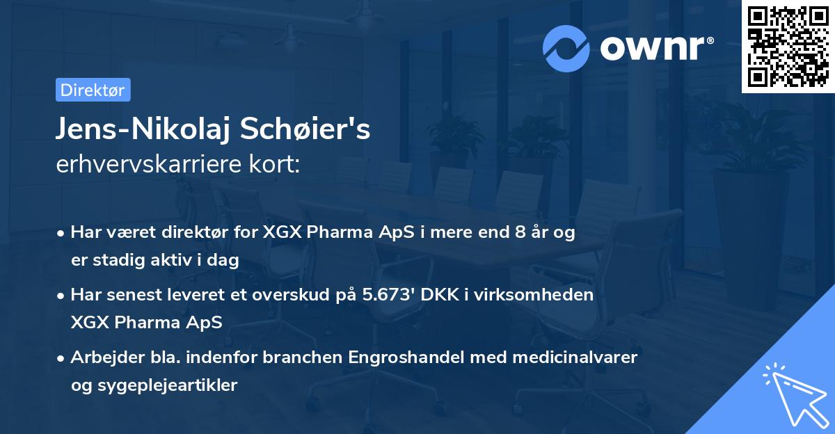 Jens-Nikolaj Schøier's erhvervskarriere kort