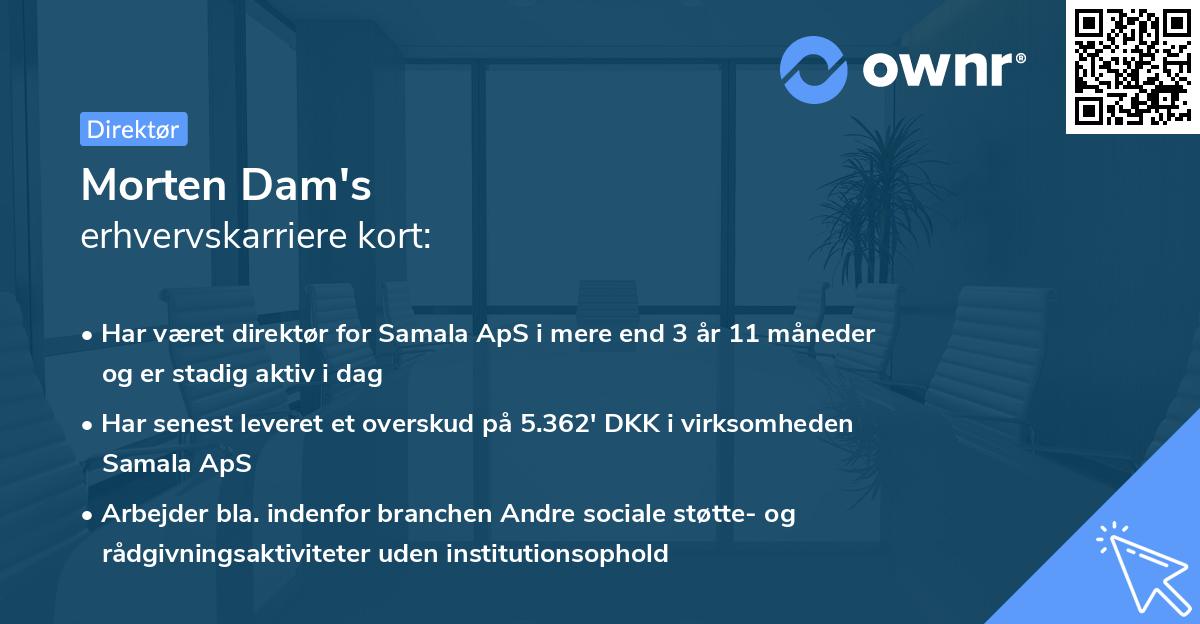 Morten Dam's erhvervskarriere kort