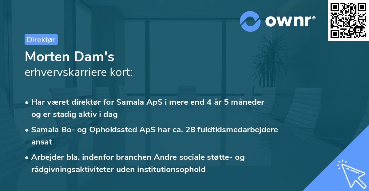 Morten Dam's erhvervskarriere kort