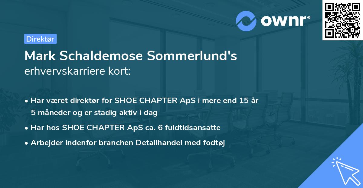 Mark Schaldemose Sommerlund's erhvervskarriere kort