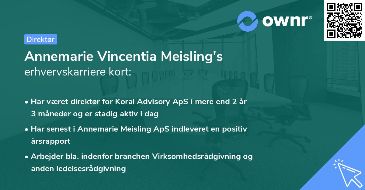 Annemarie Vincentia Meisling's erhvervskarriere kort