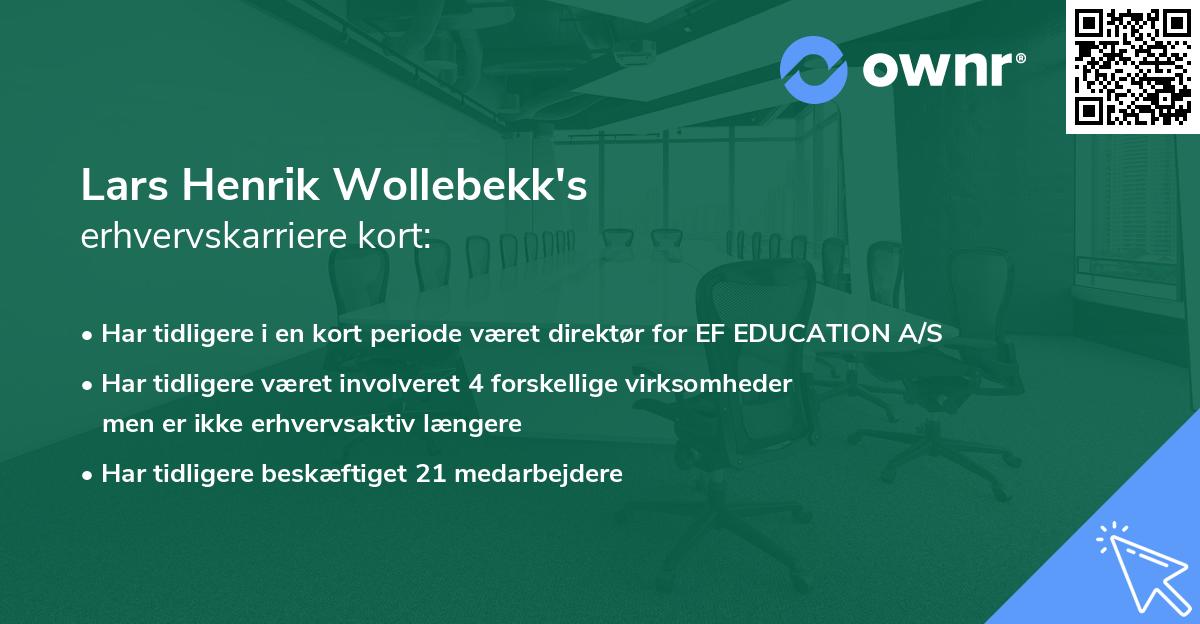 Lars Henrik Wollebekk's erhvervskarriere kort