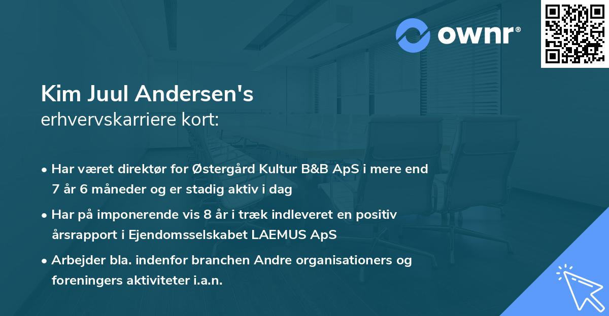 Kim Juul Andersen's erhvervskarriere kort