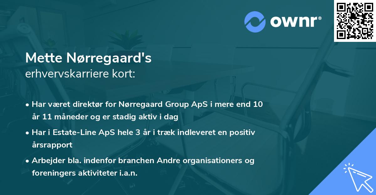 Mette Nørregaard's erhvervskarriere kort