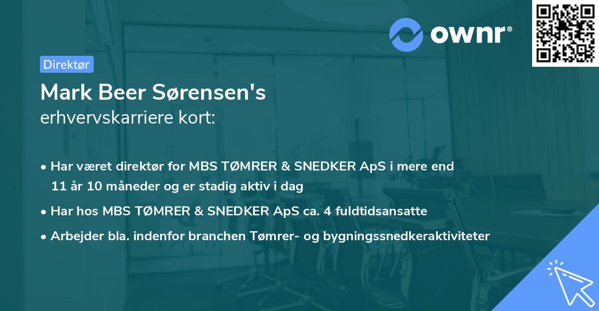 Mark Beer Sørensen's erhvervskarriere kort