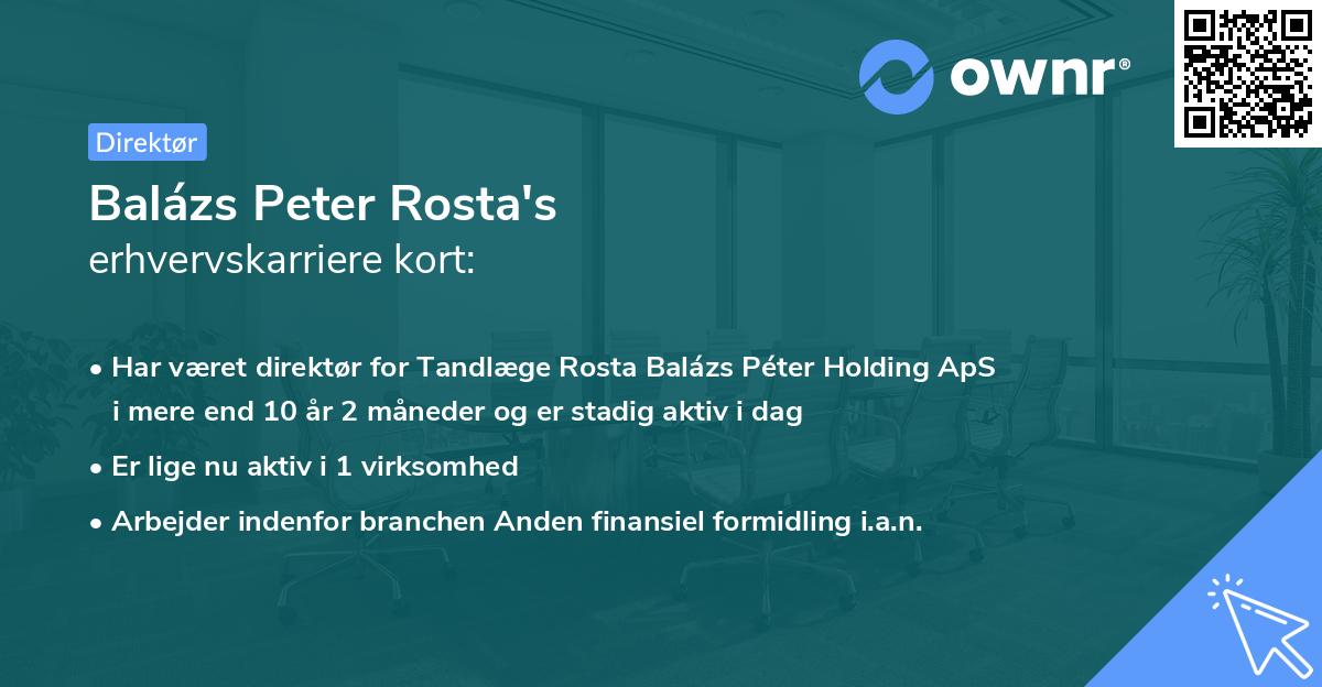 Balázs Peter Rosta's erhvervskarriere kort