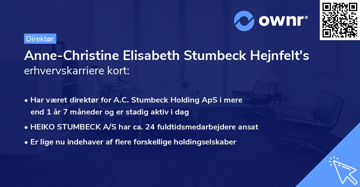 Anne-Christine Elisabeth Stumbeck Hejnfelt's erhvervskarriere kort