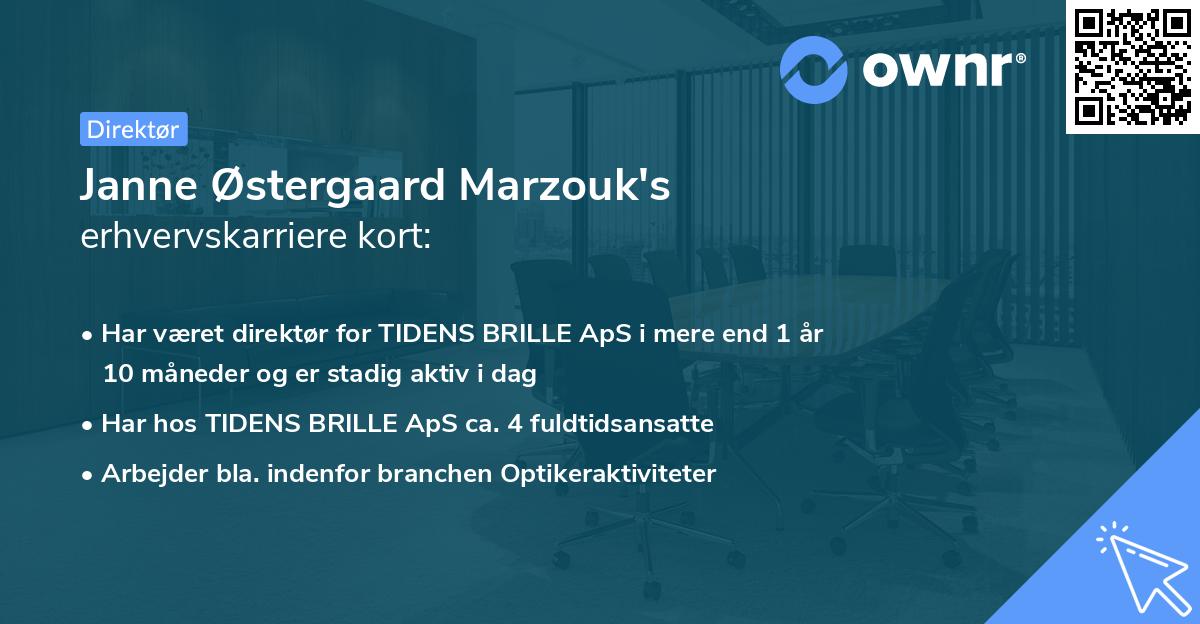 Janne Østergaard Marzouk's erhvervskarriere kort