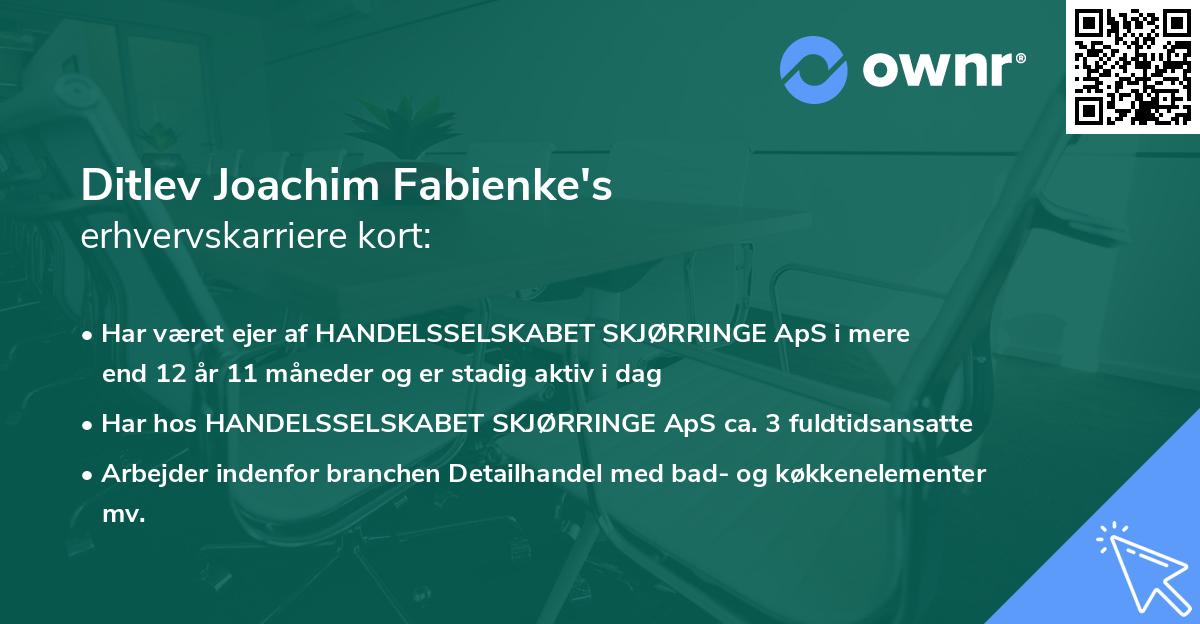 Ditlev Joachim Fabienke's erhvervskarriere kort