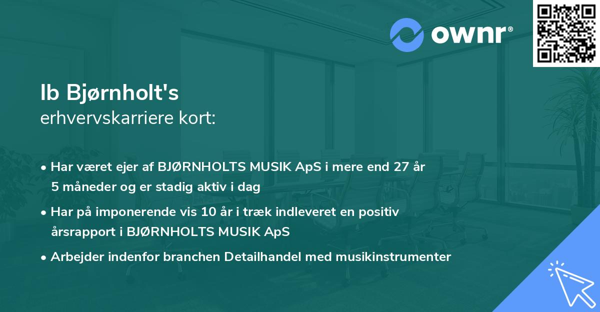 Ib Bjørnholt's erhvervskarriere kort