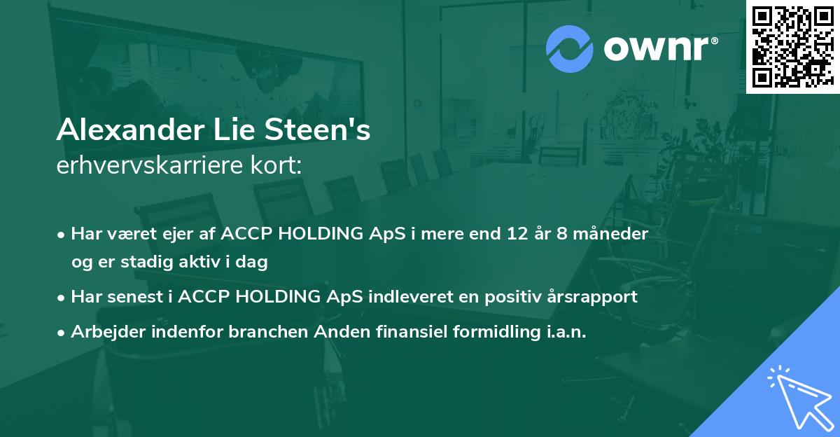 Alexander Lie Steen's erhvervskarriere kort