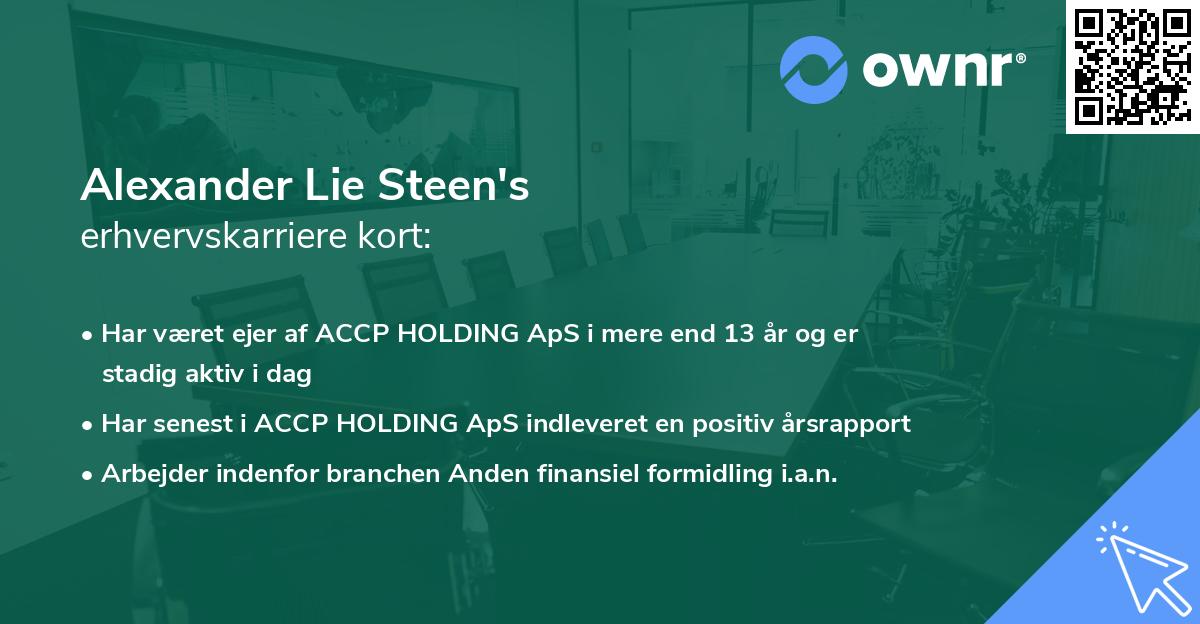 Alexander Lie Steen's erhvervskarriere kort