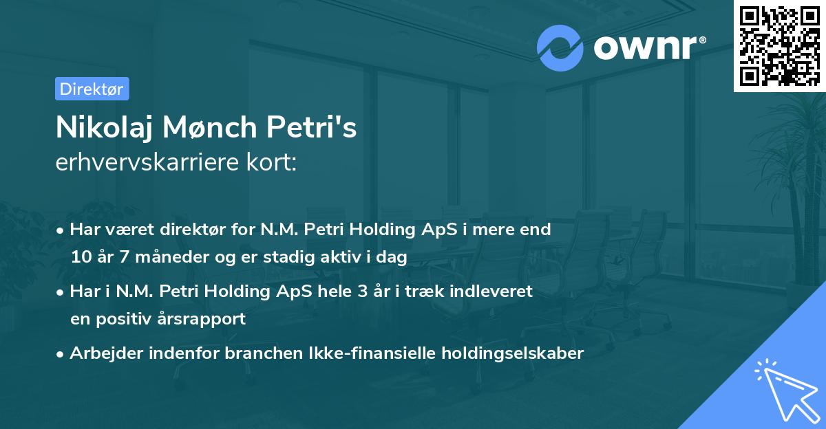 Nikolaj Mønch Petri's erhvervskarriere kort