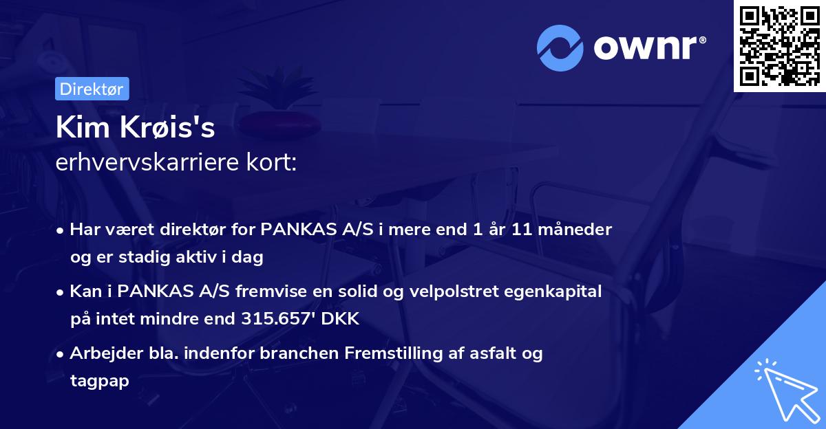 Kim Krøis's erhvervskarriere kort