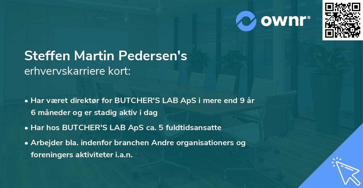 Steffen Martin Pedersen's erhvervskarriere kort