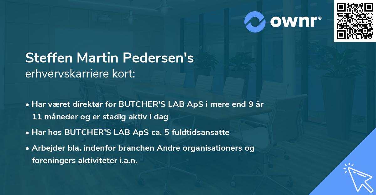 Steffen Martin Pedersen's erhvervskarriere kort